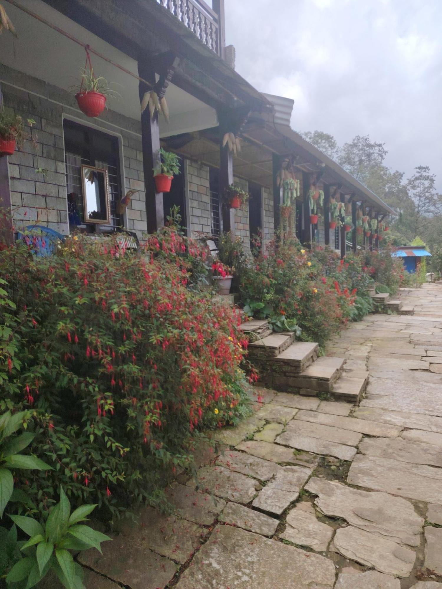 Panorama View Point Lodge And Restaurant, Annapurna-10, Ghandruk ,Agarju Astam Exterior foto